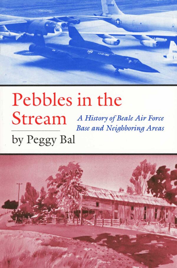 Pebbles in the Stream